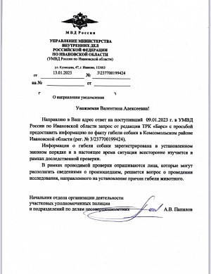 Полиция начала доследственную проверку по делу о застреленной в Комсомольске собаке 